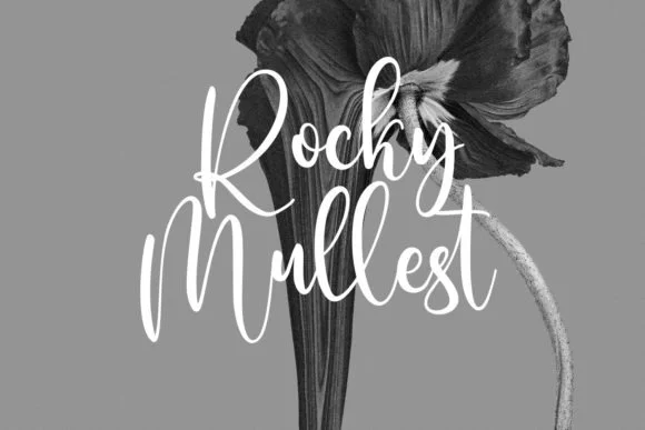 Sallutos Signature Script Font 2