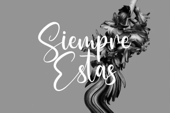 Sallutos Signature Script Font 4