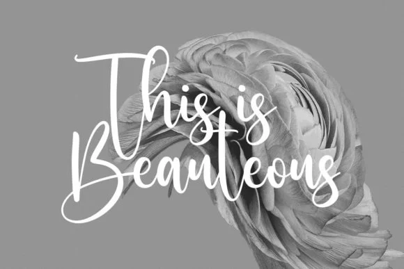 Sallutos Signature Script Font 5